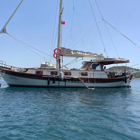 Usta-k Αλικαρνασσός